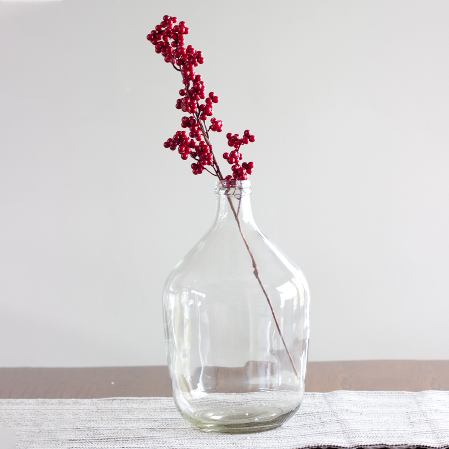 Winter Red Berry Branch