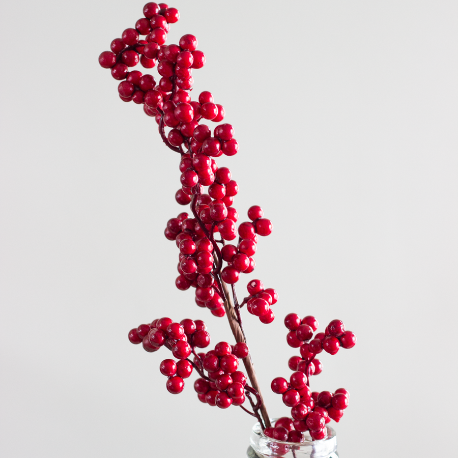Winter Red Berry Branch