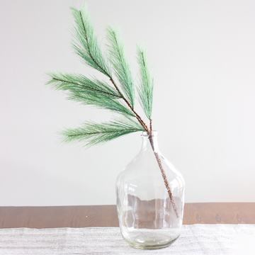 Pine Spray