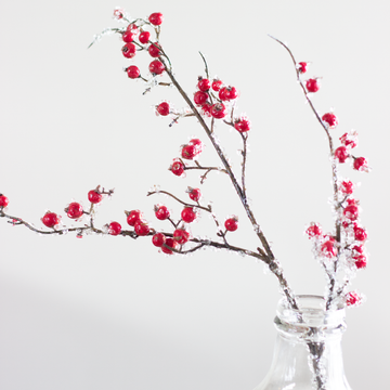 Winter Berry Frosted Spray