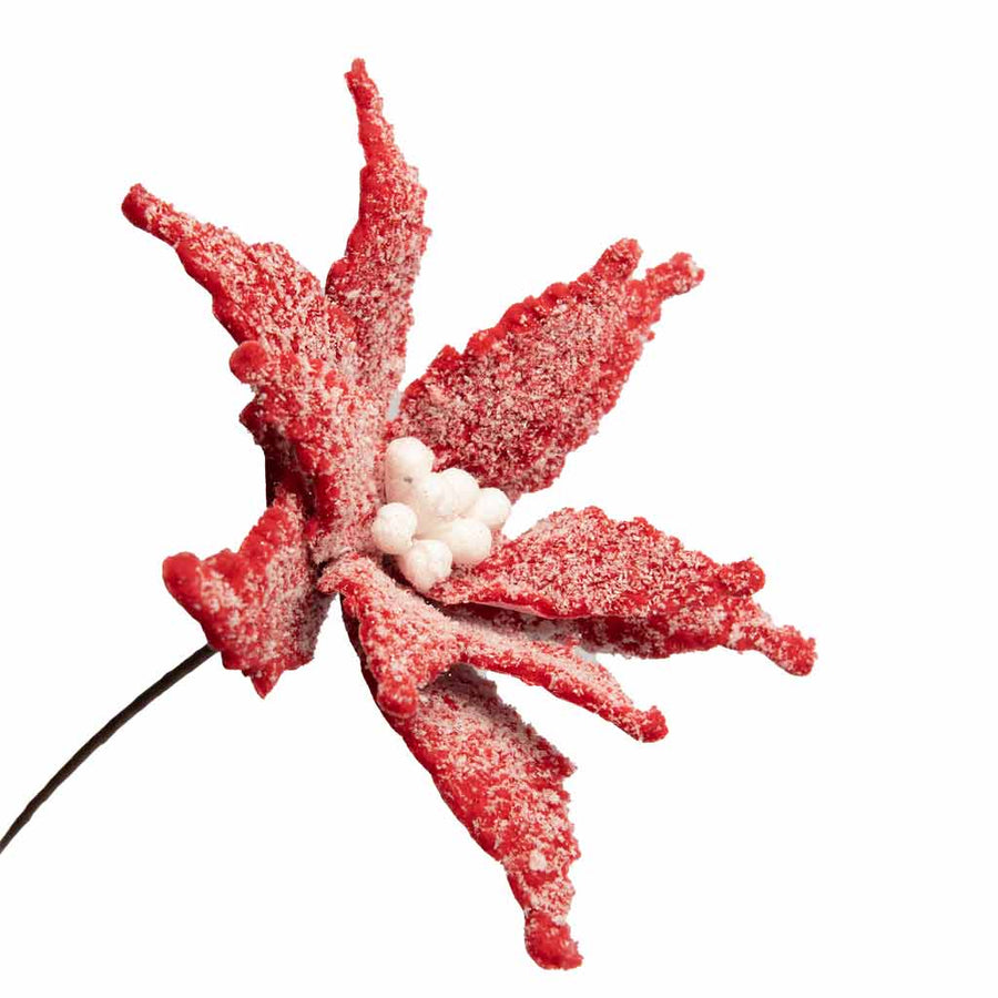 Frosted Red Poinsettia