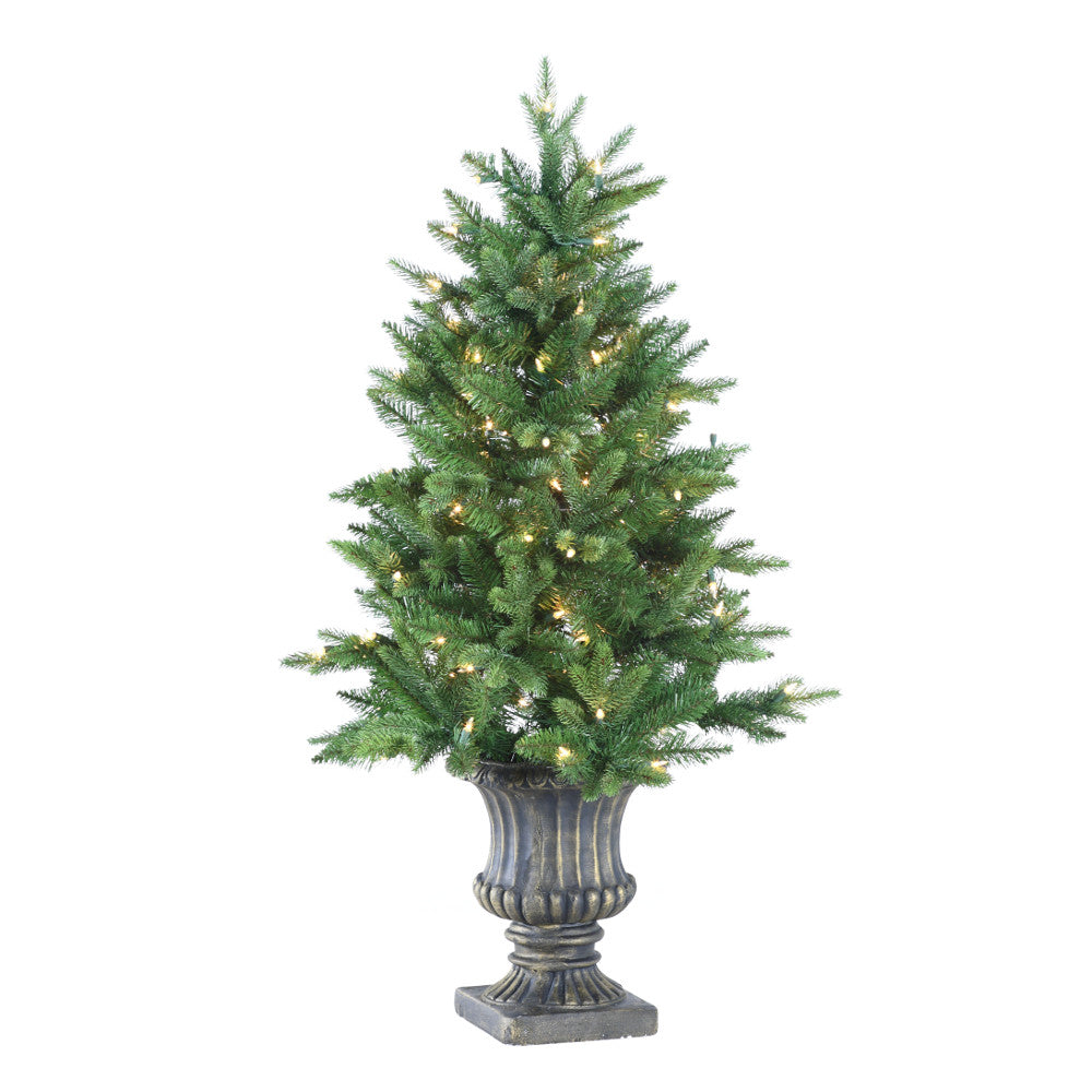 6' Pennington Slim Pine Tree in Urn