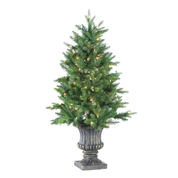 6' Pennington Slim Pine Tree in Urn