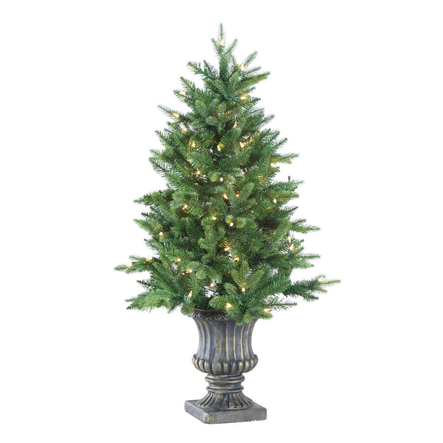 6' Pennington Slim Pine Tree in Urn