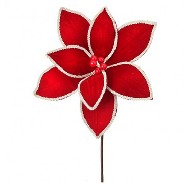 Red Velvet Poinsettia with White Trim