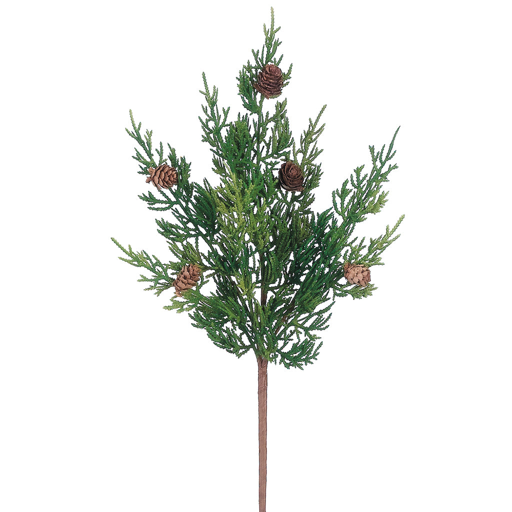 Cedar Tree Branch with Pine Cone Stem