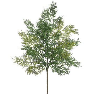 Full Cedar Spray