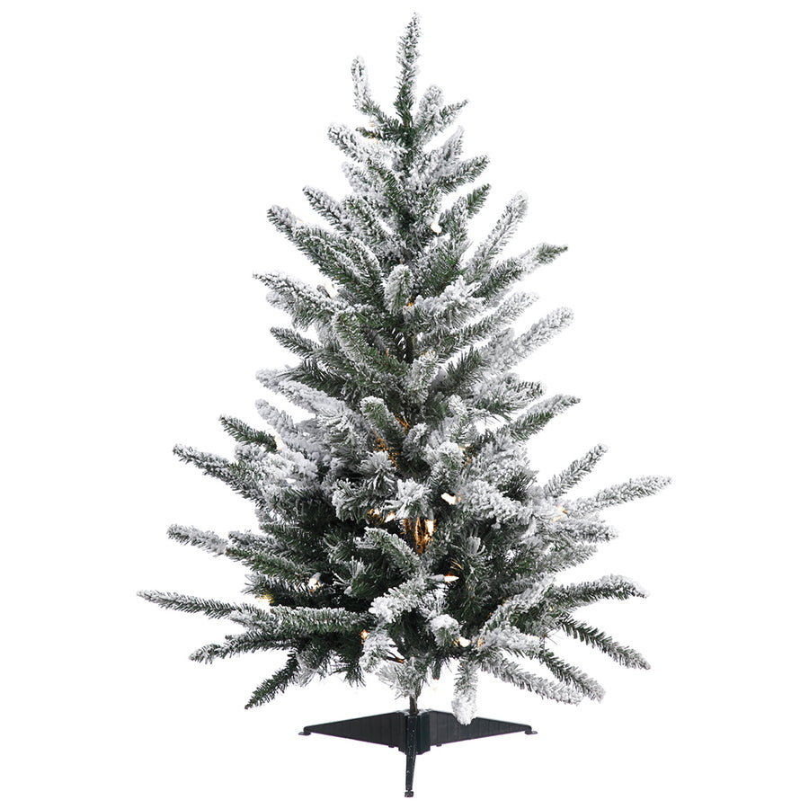 3' Small Mountain Pine Tree