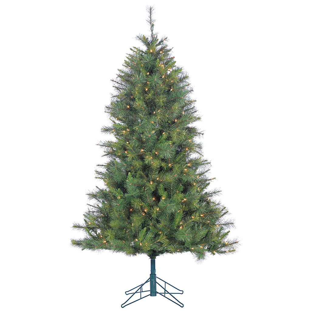 5' Canyon Trail Pine Tree