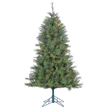5' Canyon Trail Pine Tree