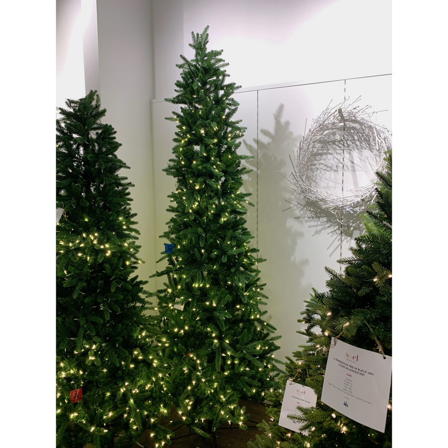 9' Henderson Spruce Tree